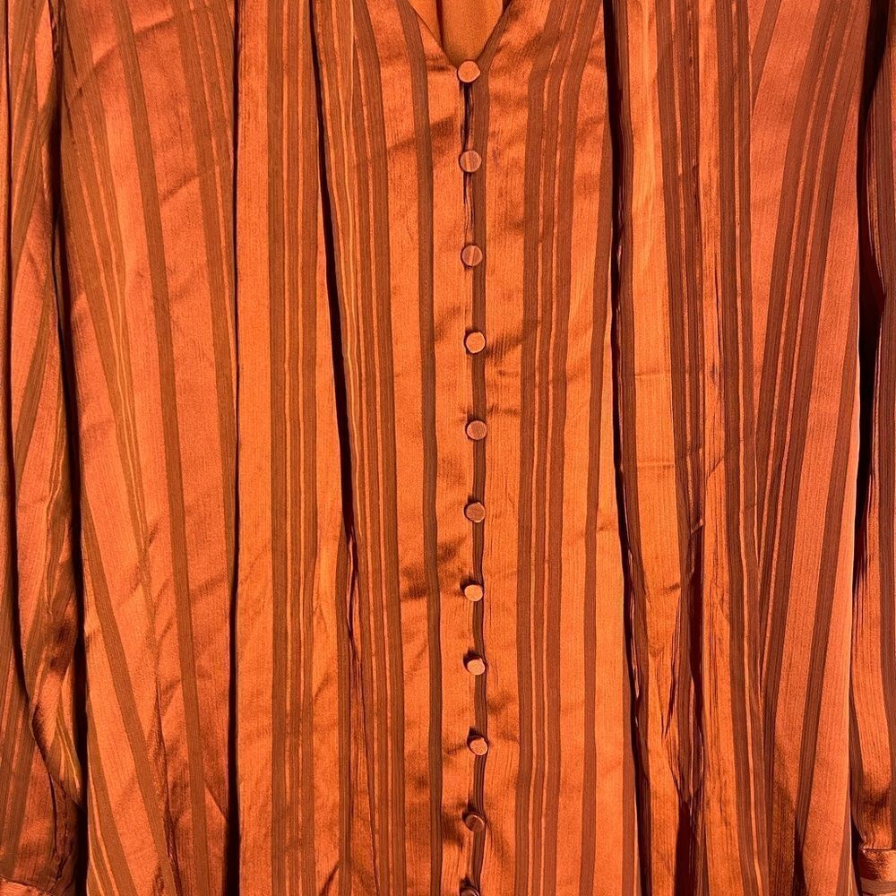 Chico’s Rust Color Blouse Button Front With Scarf… - image 2